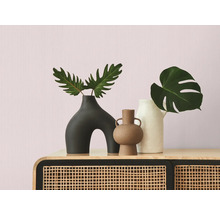 Vases décoratifs avec plantes sur une armoire