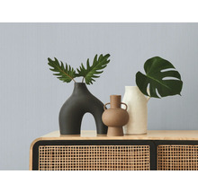 Dekorative Vasen mit Pflanzen auf einem Schrank