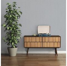 Zimmer mit Kommode, Zimmerpflanze und Schallplattenspieler