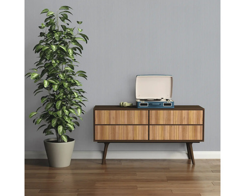 Zimmer mit Kommode, Zimmerpflanze und Schallplattenspieler