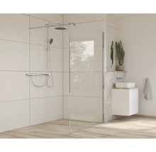 Badezimmer mit begehbarer Dusche, Waschbecken und Pflanze