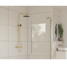 Salle de bains moderne avec robinetterie de douche et paroi en verre