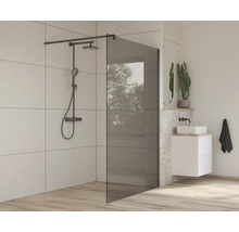 Salle de bain moderne avec paroi de douche en verre et robinetterie