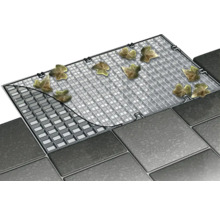 Aufsicht eines Hofablaufs mit Blättern