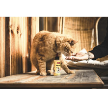 Chat lèche dans la main à côté d'une bouteille d'huile d'entretien pour animaux Ballistol Animal