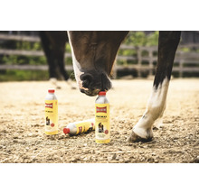 Cheval touchant une bouteille d'huile de soin pour animaux Ballistol avec son nez