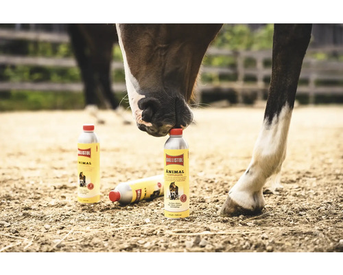 Cheval touchant une bouteille d'huile de soin pour animaux Ballistol avec son nez