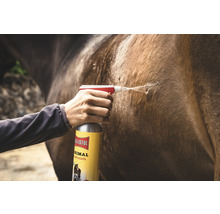 L'huile de soin pour animaux Ballistol est vaporisée sur le pelage d'un cheval.