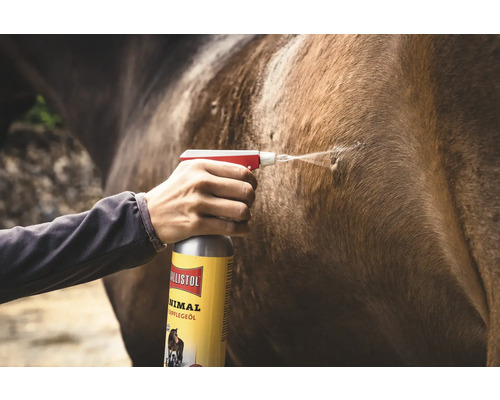 L'huile de soin pour animaux Ballistol est vaporisée sur le pelage d'un cheval.