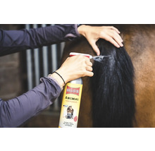 Une personne vaporise de l'huile de soin pour animaux Ballistol sur la queue d'un cheval.