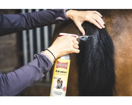 Une personne vaporise de l'huile de soin pour animaux Ballistol sur la queue d'un cheval.