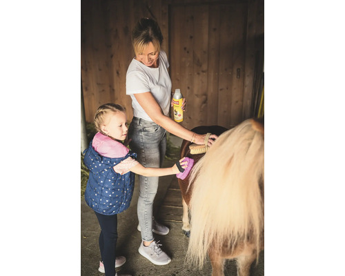 Femme et fille soignent un poney avec une brosse et un spray de soin.