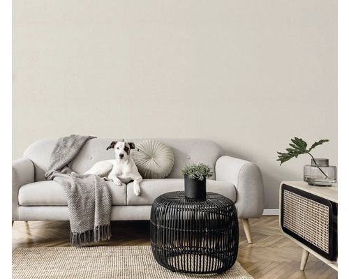 Helle Inneneinrichtung mit Sofa, Tisch, Zimmerpflanze und Hund