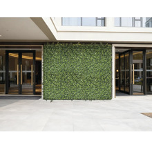 Façade avec haie artificielle et entrée avec portes vitrées