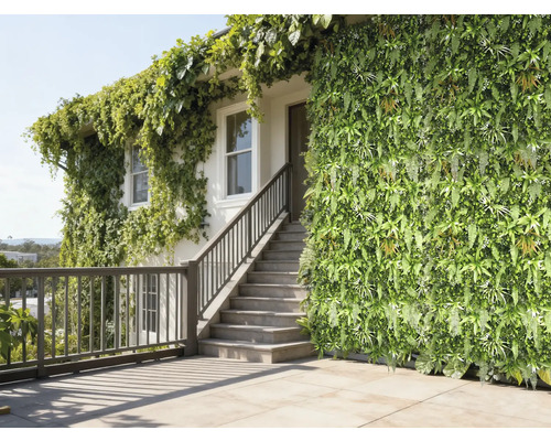 Façade de maison avec jardin vertical et plantes grimpantes