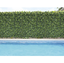 Mur végétal décoratif vert à côté d'une piscine.