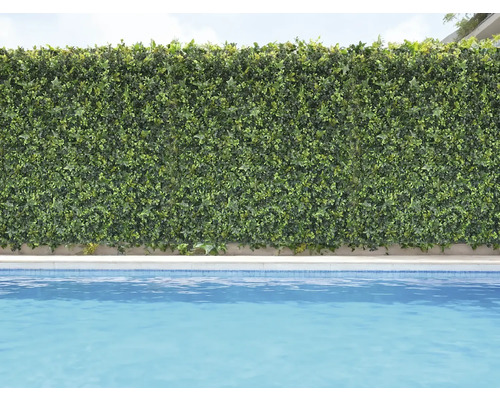 Mur végétal décoratif vert à côté d'une piscine.