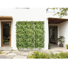Mur végétal décoratif vert sur une façade de maison pour l'extérieur.