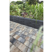 Garten mit Pflastersteinen und Mauer