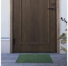 Espace d'entrée avec porte en bois et paillasson vert