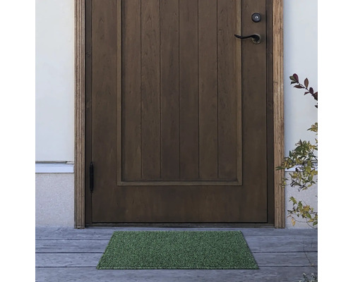 Espace d'entrée avec porte en bois et paillasson vert