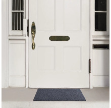 Paillasson devant une porte d'entrée