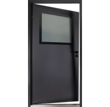 Porte intérieure moderne avec insert en verre