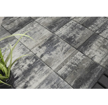 Dalles de pavage posées à l'extérieur avec plante décorative