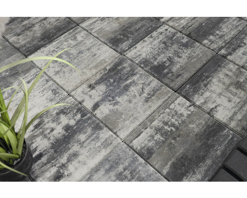 Dalles de pavage posées à l'extérieur avec plante décorative