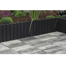 Scène de jardin avec bordures de gazon et pavés