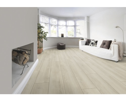 Salon lumineux avec sol stratifié, canapé et cheminée