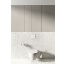 Salle de bains moderne avec WC suspendu, plaque de commande, porte-papier toilette, brosse WC et armoire de salle de bains
