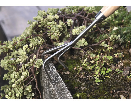 Croc de jardin utilisé dans une plate-bande