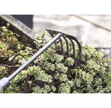 Rateau de jardin pour travailler le sol entre les plantes