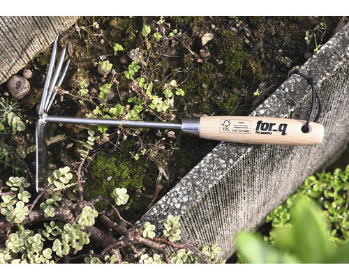 Cultivateur For Q en acier inoxydable avec manche en bois dans le jardin