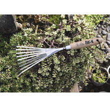 Râteau de jardin avec manche en bois et dents en métal, entouré de plantes vertes.