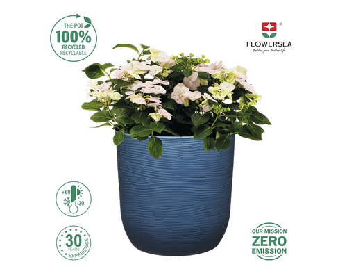 Blauer Pflanztopf mit Hortensie und den Symbolen: 100 Prozent recycelbar, temperaturbeständig von -30 bis +60 Grad Celsius, 30 Jahre Erfahrung und Null Emission