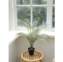 Künstliche Arekapalme im Topf auf einem Rattantisch vor einem Fenster