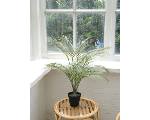 Künstliche Arekapalme im Topf auf einem Rattantisch vor einem Fenster