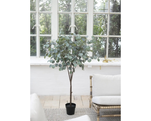 Eucalyptus artificiel en pot devant une fenêtre