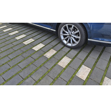 Dalles de gazon sur une allée avec une partie d'une voiture