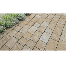 Verlegung von Pflastersteinen im Aussenbereich mit Randbepflanzung