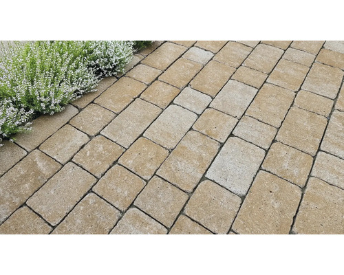 Verlegung von Pflastersteinen im Aussenbereich mit Randbepflanzung