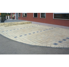 Allée pavée avec des pavés rectangulaires