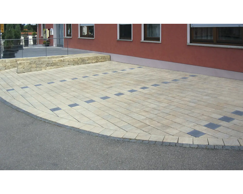 Allée pavée avec des pavés rectangulaires