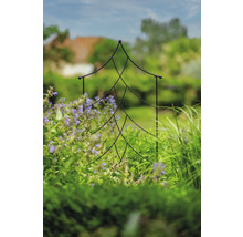 Scène de jardin avec support de croissance en forme de sapin entre les plantes