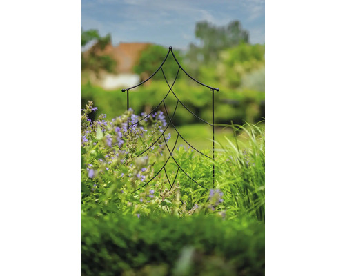 Scène de jardin avec support de croissance en forme de sapin entre les plantes