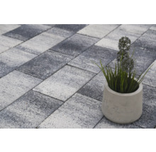 Pavés autobloquants avec plante en pot