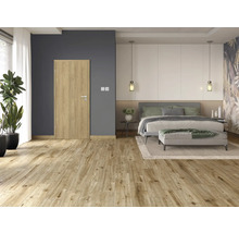 Chambre à coucher lumineuse avec lit double, porte en bois et plancher en bois