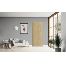 Wohnzimmer mit Tür, Sessel, Lampe und Dekorationen für eine stilvolle Inneneinrichtung